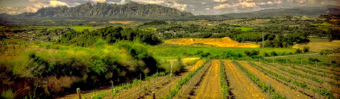 Alt Penedes Catalunya Spain