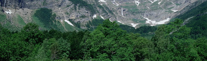 Aragn Pyrenees View