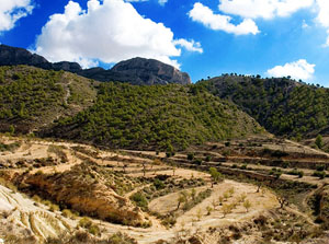 Casa Cueva El Solins