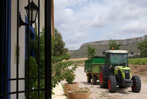 Finca El Romeral - Eco Rural Country Hotel, Castilla-la Mancha, Spain - click for larger image