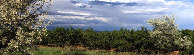Navarra, Spain