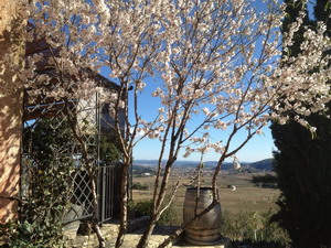 Arianel.la Apartment - Bedroom - click for larger image