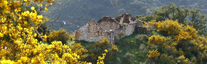 Andalucia, Spain
