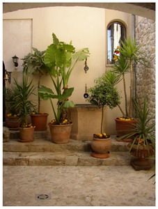 Hotel courtyard