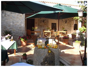 Hotel Terrace