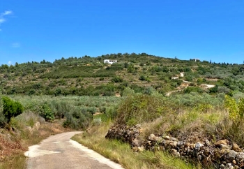 Casa de Olivos 