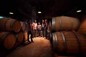 Cava and Hotel Mastinell, Alt Penedes