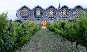 Cava and Hotel Mastinell, Alt Penedes
