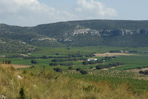 Finca El Romeral - Eco Rural Country Hotel, Castilla-la Mancha, Spain - click for larger image