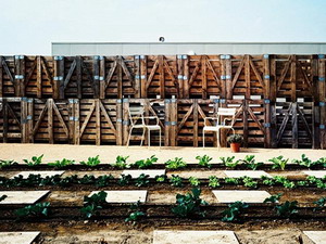 Vegetable garden