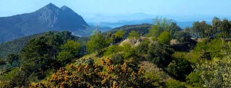 Extreme adventure sports in Andalucia, Spain