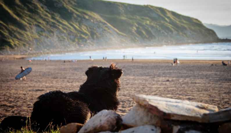 Beach scene in the Basque Country (Pais Vasco) of Spain