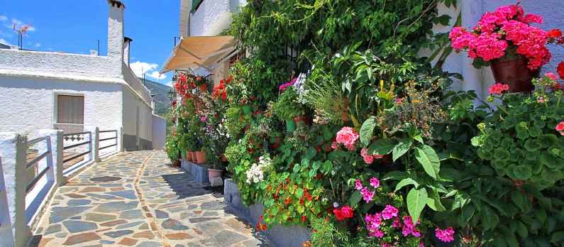 Colourful street in a Pueblo Blanco in Andalucia, Spain