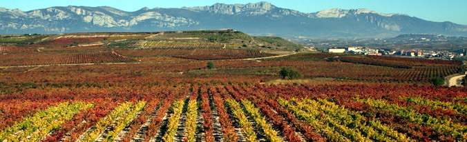 La Rioja, Spain