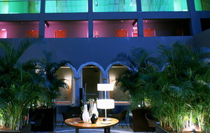 Terrace / Terraza